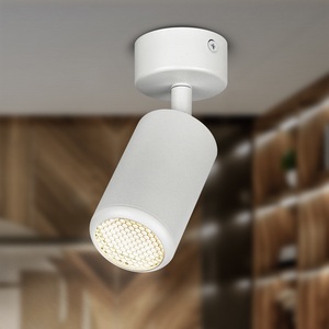 Изображение товара Спот ЭРА OL55 WH OL55 WH