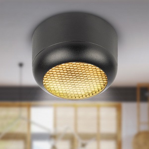 Изображение товара Точечный светильник ЭРА OL56 BK OL56 BK