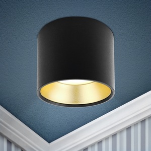 Изображение товара Точечный светильник ЭРА OL8 GX53 BK/GD OL8 GX53 BK/GD