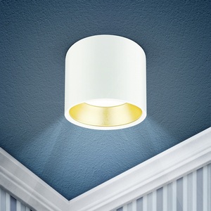 Изображение товара Точечный светильник ЭРА OL8 GX53 WH/GD OL8 GX53 WH/GD