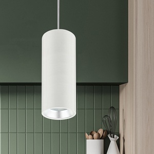 Изображение товара Подвесной светильник ЭРА PL12 GX53 WH/SL