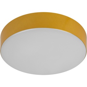 Изображение товара Потолочный светильник круглый светодиодный ЭРА Relict 22 SPB-6-20 4К MG