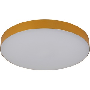 Изображение товара Потолочный светильник круглый светодиодный ЭРА Relict 38 SPB-6-40 4К MG