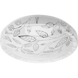 Изображение товара Потолочный светильник круглый светодиодный ЭРА SPB-6-50-6,5K Syuzi