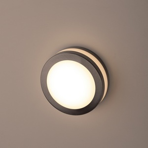 Изображение товара Архитектурная подсветка ЭРА WL25 WL25