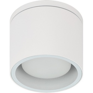 Изображение товара Точечный светильник влагозащищенный ЭРА WL40 WH