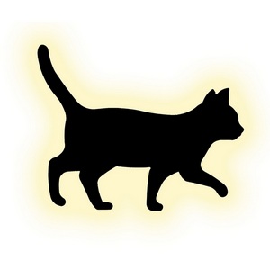 Изображение товара Настенный светильник светодиодные Escada Tom 10209/SG LED 5W Black