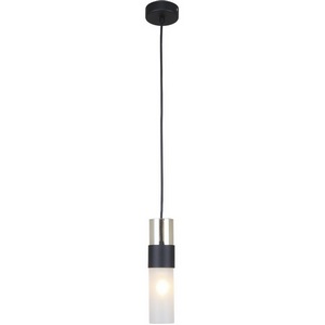 Изображение товара Подвесной светильник Escada Avany1122/1S E14*40W Black