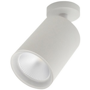 Изображение товара Спот светодиодный 20020SMA/01LED SWH Escada