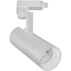 Изображение товара Трековый однофазный светильник светодиодный 220V 20029TRA/02 30W 4200K белый матовый Escada 20029 20029TRA/02LED SWH