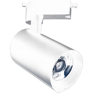Изображение товара Трековый однофазный светильник светодиодный 220V 20031TRA/01LED SWH Escada 20031
