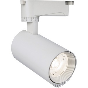 Изображение товара Трековый однофазный светильник светодиодный 220V 20031TRA/03 30W 4200K белый матовый Escada 20031 20031TRA/03LED SWH