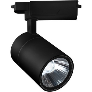 Изображение товара Трековый однофазный светильник светодиодный 220V 20032TRA/01LED SBK Escada 20032