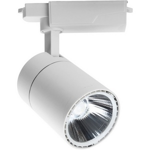 Изображение товара Трековый однофазный светильник светодиодный 220V 20032TRA/01LED SWH Escada 20032