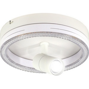 Изображение товара Настенно-потолочный светодиодный светильник Escada 20044LED 20044SMA/02LED WH 30Вт, металл/акрил, белый