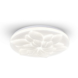 Изображение товара Потолочный светильник Escada Polly 472/PL LED 60W White