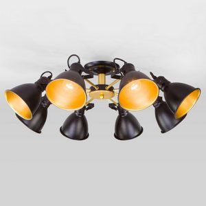 Изображение товара Потолочная люстра 70112/8 Eurosvet Denley черный