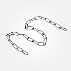 Изображение товара Цепь Eurosvet 10300 хром