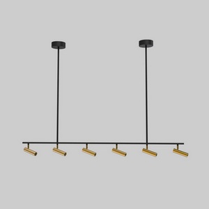 Изображение товара Потолочный светильник Eurosvet Barre 20252/6 LED черный/латунь