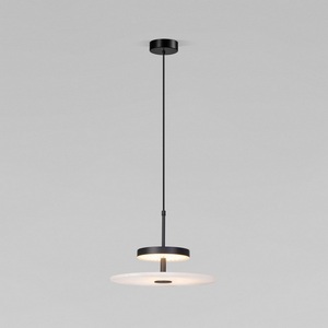 Изображение товара Подвесной светильник черный Eurosvet Thasos 40342 LED