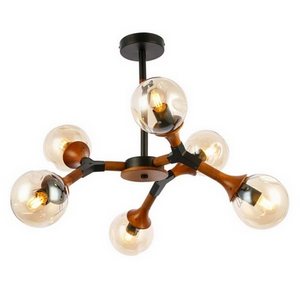 Изображение товара Потолочная люстра Evoluce Raquel SLE109402-06 шарики