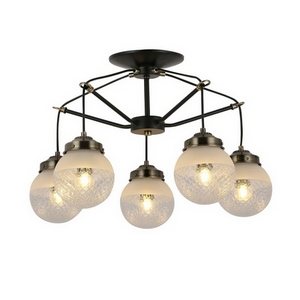 Изображение товара Потолочная люстра Evoluce Stricce SLE110302-05 шарики