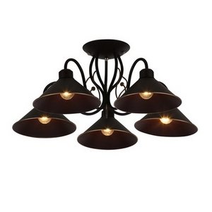 Изображение товара Потолочная люстра Evoluce Ciolla SLE120402-05