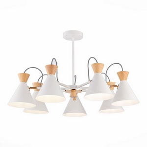 Изображение товара Потолочная люстра Evoluce Modica SLE125102-07