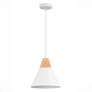 Изображение товара Подвесной светильник Evoluce Modica SLE125103-01