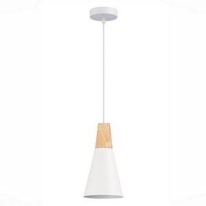 Изображение товара Подвесной светильник Evoluce Modica SLE125153-01