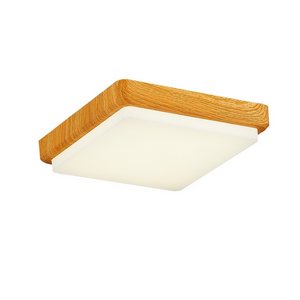 Изображение товара Потолочный светильник светодиодный Evoluce Taddio SLE200202-01