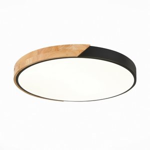 Изображение товара Потолочный светильник круглый светодиодный Evoluce Festa SLE200942-01