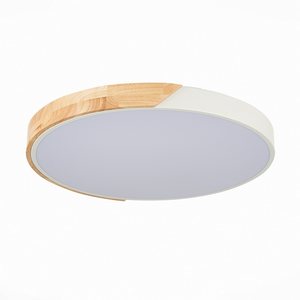 Изображение товара Потолочный светильник круглый светодиодный Evoluce Festa SLE200952-01