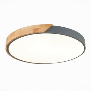 Изображение товара Потолочный светильник круглый светодиодный Evoluce Festa SLE200972-01