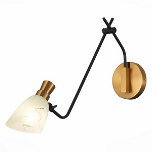 Изображение товара Бра на гибкой ножке Evoluce Lita SLE205401-01