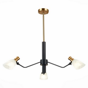 Изображение товара Подвесная люстра Evoluce Lita SLE205403-03