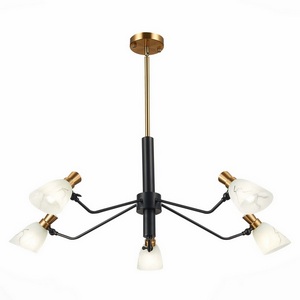 Изображение товара Подвесная люстра Evoluce Lita SLE205403-05