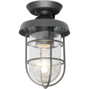 Изображение товара Потолочный светильник уличный IP44 Favourite Pointer 3021-1P