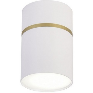 Изображение товара Накладной светильник Favourite Dunia 3067-1C