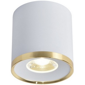 Изображение товара Накладной светильник светодиодный Favourite Prakash 3085-2C