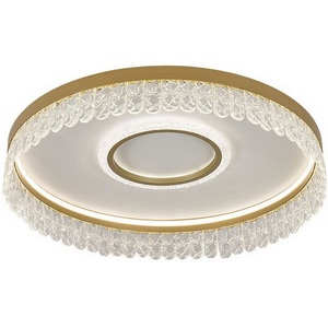 Изображение товара Потолочный светодиодный светильник круглый с пультом F-Promo Lunetta 4186-2C с подвесками