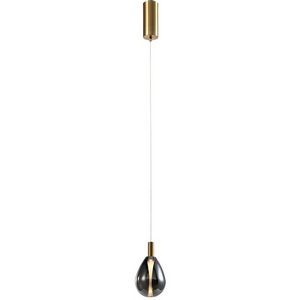 Изображение товара Подвесной светодиодный светильник Favourite Hopper 4255-1P