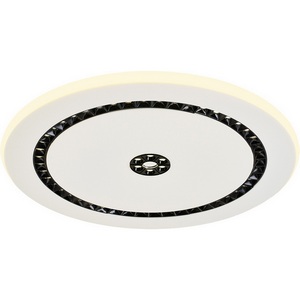 Изображение товара Потолочный светодиодный светильник круглый F-Promo Skiva 4433-1C