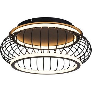 Изображение товара Потолочный светодиодный светильник в форме клетки F-Promo Korg 4435-2C