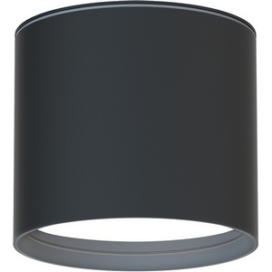 Изображение товара Потолочный светильник уличный IP54 Favourite Fantum 4663-1U