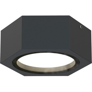 Изображение товара Потолочный светильник уличный IP54 Favourite Fantum 4667-1U