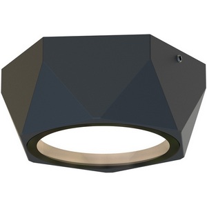 Изображение товара Потолочный светильник уличный IP54 Favourite Fantum 4670-1U