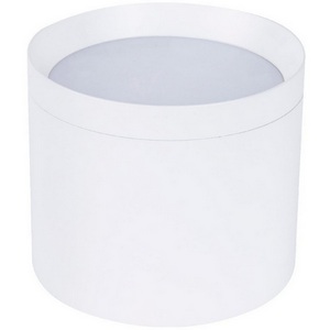 Изображение товара Накладной светильник потолочный Favourite Rote 4708-1C