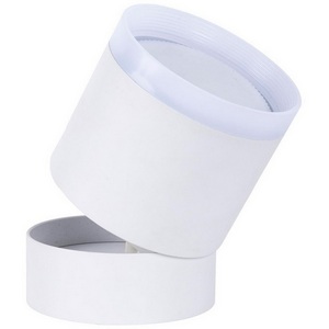 Изображение товара Накладной потолочный светильник Favourite Dixi 4709-1C