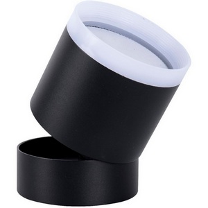 Изображение товара Накладной потолочный светильник Favourite Dixi 4710-1C